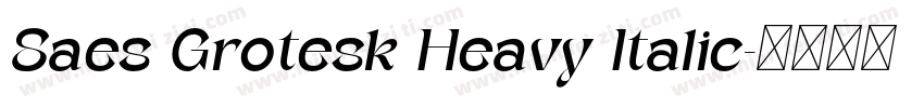 Saes Grotesk Heavy Italic字体转换